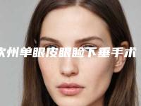 钦州单眼皮眼睑下垂手术的价格是由什么决定的