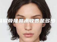 耳软骨隆鼻术收费是多少钱,耳软骨隆鼻术的价格及手术方式