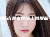 聊城市哪家医院上睑提肌折叠术好(聊城市上睑提肌折叠术医院排行top10大全预测版)
