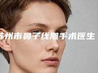 苏州市鼻子线雕手术医生上榜名单实力上榜医生名单分享-何维新医生价格比较合理
