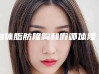 自体脂肪隆胸和假哪体隆胸个果好