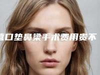 营口垫鼻梁手术费用贵不贵呢