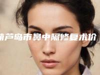 葫芦岛市鼻中隔修复术价格表_医生介绍-葫芦岛市鼻中隔修复术均价为10403元