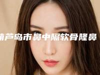 葫芦岛市鼻中隔软骨隆鼻术价格收费表全新揭秘一览-葫芦岛华美医疗美容手术哪儿便宜