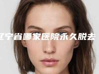 辽宁省哪家医院永久脱去唇毛好-鞍山菲之都整形美容网友点评好