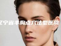 辽宁省丰胸点穴法型医院哪里好(大连维恩医疗美容榜单抢先看)