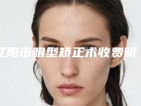 辽阳市眼型矫正术收费明细参考标准(眼型矫正术手术什么费用)