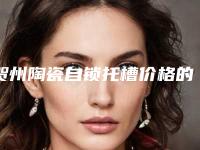 贺州陶瓷自锁托槽价格的三个决定因素