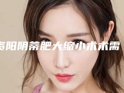 资阳阴蒂肥大缩小术术需要多少钱一次