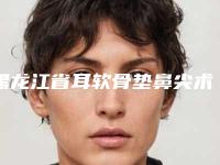 黑龙江省耳软骨垫鼻尖术医院口碑排行榜top10上榜推荐-排名靠前黑龙江省整形医院