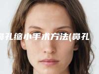 鼻孔缩小手术方法(鼻孔缩小术千万别做)