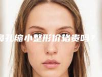 鼻孔缩小整形价格贵吗?鼻孔缩小好多费用?(鼻孔缩小大概需要多少钱)