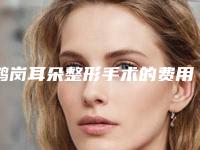 鹤岗耳朵整形手术的费用是怎样的